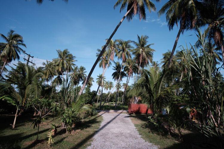 Coconut Tree Homestay Ban Wa Thon Exterior foto